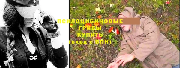 мяу мяу мука Арсеньев