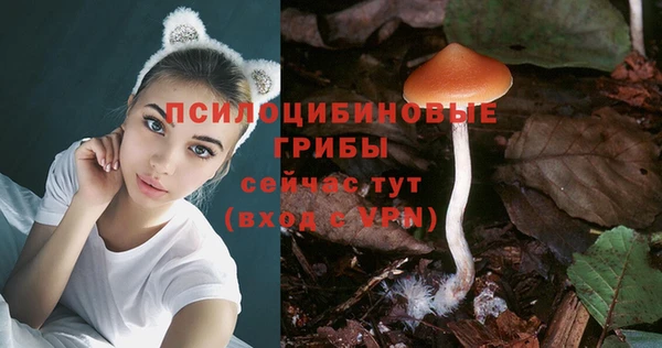 мяу мяу мука Арсеньев